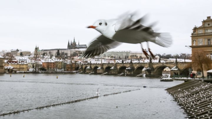 V Praze se žije lépe než v Paříži či Londýně. Česko v žebříčku atraktivity zabodovalo