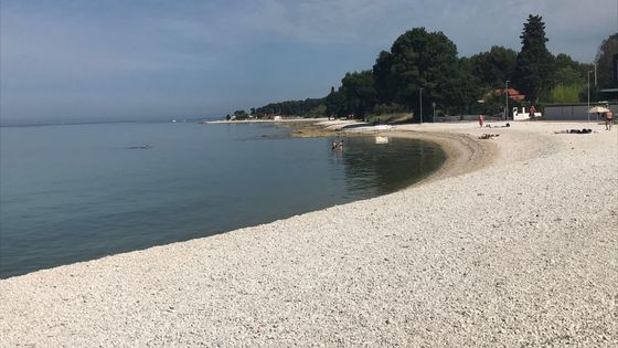 Fažana, Chorvatsko, červen 2021