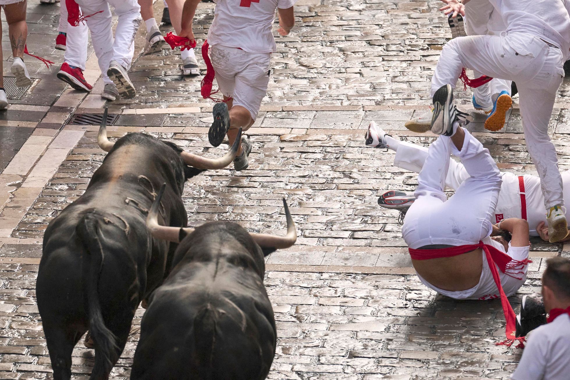 Španělsko, Pamplona, San Fermin, bejci