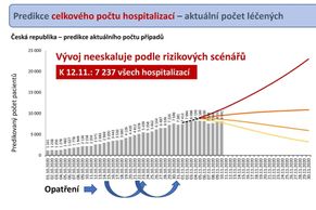 Statistika žádosti o trvání stavu nouze do 20. prosince, černé scénáře se nenaplňují