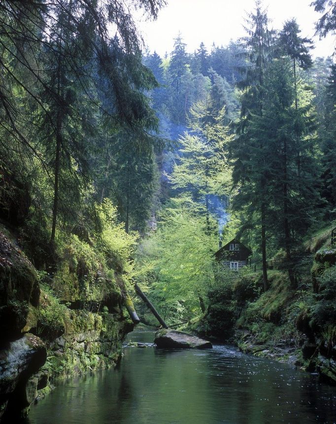 Údolí řeky Kamenice, Národní park České Švýcarsko