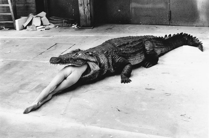 Helmut Newton: Krokodýl, Wuppertal, 1983.