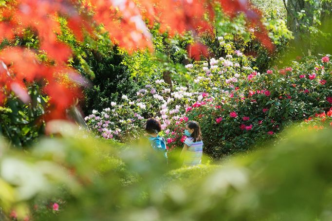 Pražské jaro v rouškách. První den v znovu otevřené zoo, lidé v botanické zahradě