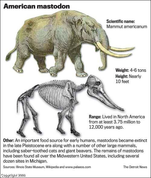 Americký prehistorický mamut - mastodon