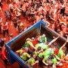 Španělsko, Tomatina, rajčata, bitva, kuriozita, rajče