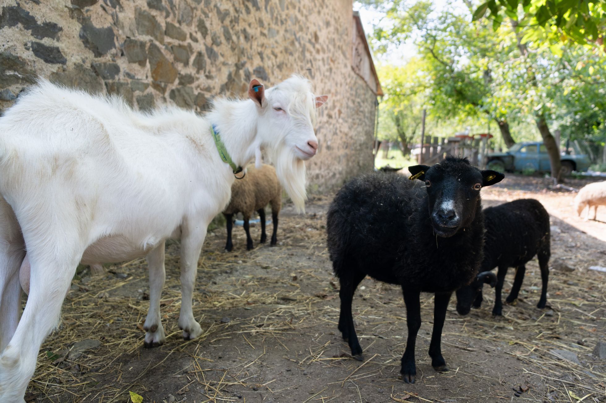 Náš mlýn v Hradčanech