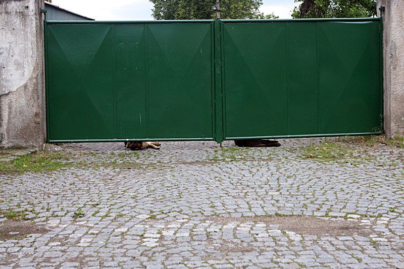 V Postoloprtech odhalují desku