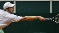 Andy Roddick z USA se natahuje po míčku při zápase s Tomášem Berdychem.