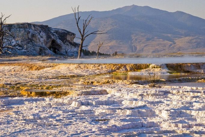 kaskádovité terasy Mammoth Hot Springs, Yellowstonský národní park