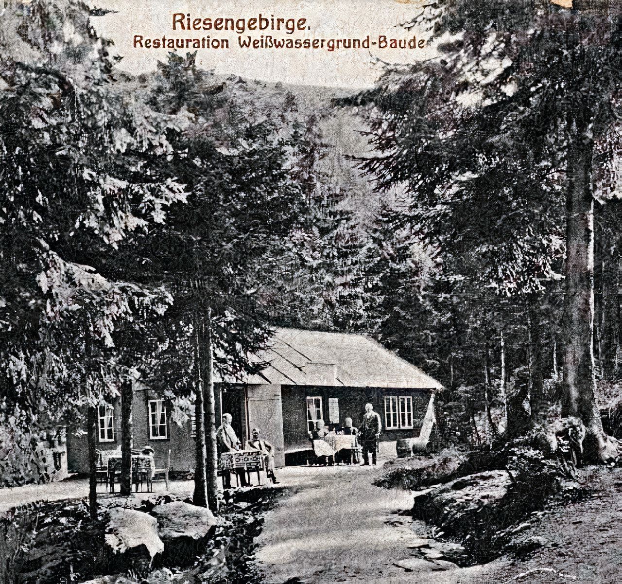 Bouda u Bílého Labe, Krkonošské boudy, Krkonoše, hory, historie, pokračování, Domácí