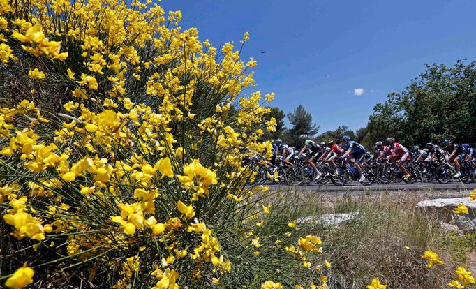 Tour de France 2013