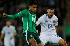 Slováci si v Belfastu zkomplikovali boj o vedení, Ukrajina přestřílela Island