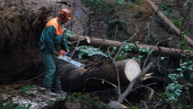 Dělník odklízí stromy, které zatarasily cestu údolím Mumlavy