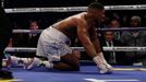 Vladimir Kličko vs. Anthony Joshua: Anthony Joshua na zemi