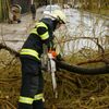 Bouřka lámala stromy a trhala střechy
