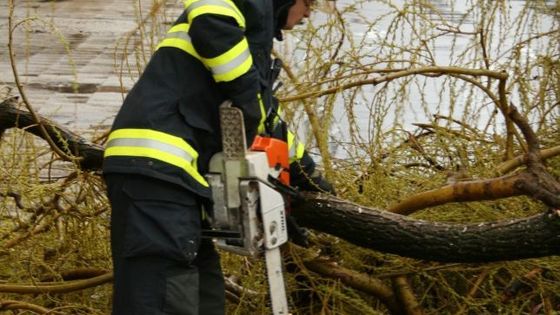 Bouřka lámala stromy a trhala střechy