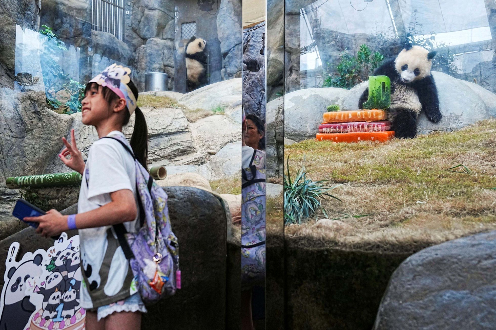 Hong Kong, Čína, panda, oslava, zoo