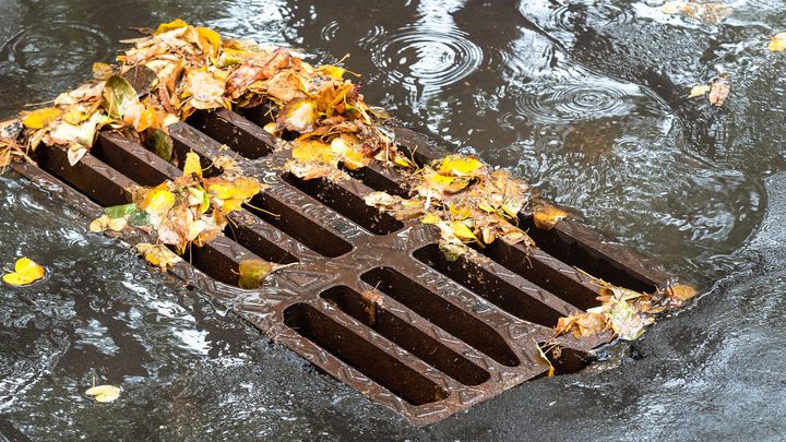Půlka Dešťovky je pryč. O dotaci na lepší využití vody žádají čtyři tisíce domácností