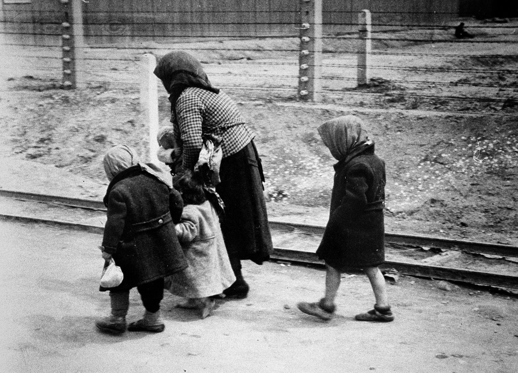 Jednorázové použití / Fotogalerie / Uběhlo 80 let od osvobození koncentračního tábora smrti v Osvětimi / TV