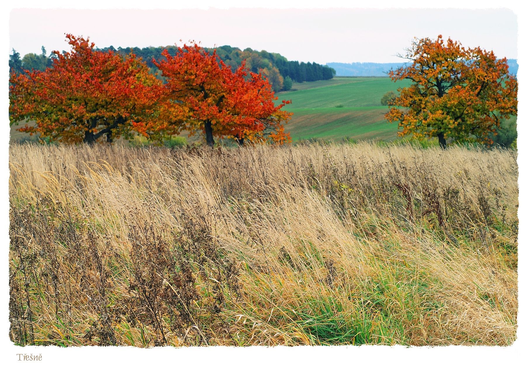 Fotosoutěž: Můj podzim - orlikja