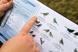 S identifikací jednotlivých druhů mohou pozorovatelům pomoci archy, které lze stáhnout na webu České ornitologické společnosti. Na jejich internetové stránky také výsledky následně lidé nahrávají.