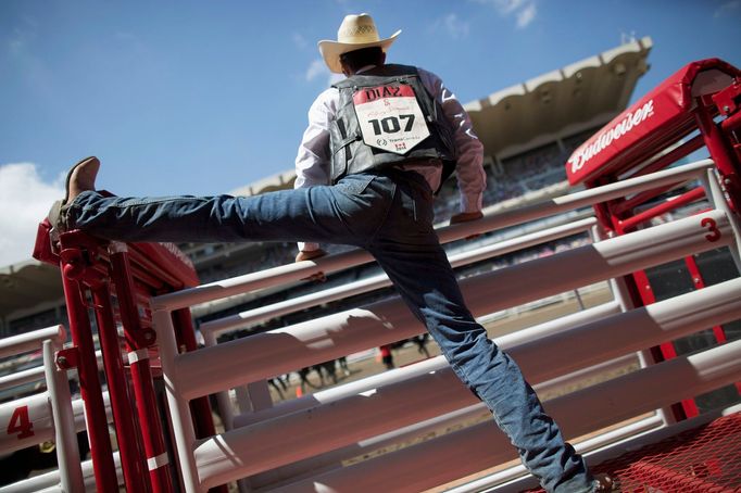 Rodeo v Calgary