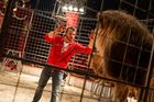 Obrazem: Násilí jsem nikdy nepoužil, zvířata u nás netrpí, tvrdí šéf Cirkusu Humberto