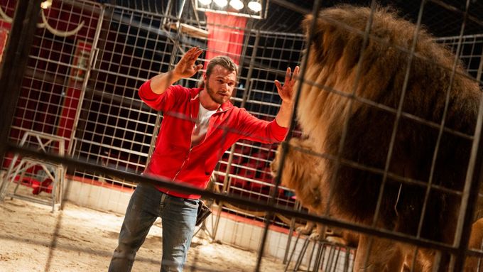 Cvičení lvů v cirkuse Humberto.