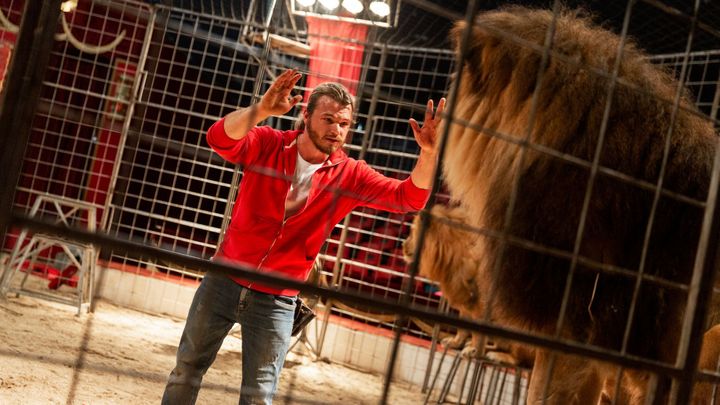 Obrazem: Násilí jsem nikdy nepoužil. Cirkusy bojují za zachování zvířat