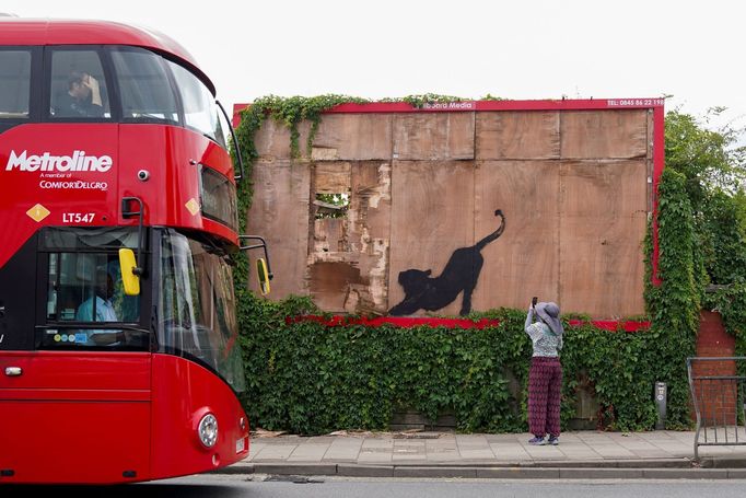 Banksy ji nasprejoval na prázdný, poškozený reklamní banner, který však rychle odstranili stavební dělníci.