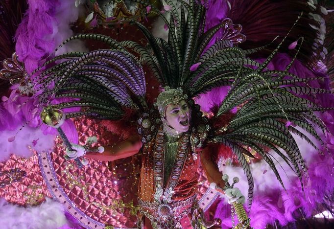 A reveller of Sao Clemente samba school participates on the second night of the annual Carnival parade in Rio de Janeiro's Sambadrome, February 11, 2013. REUTERS/Ricardo Moraes (BRAZIL - Tags: SOCIETY) Published: Úno. 12, 2013, 12:53 dop.