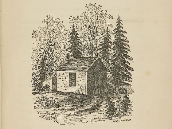 Srub u jezera Walden na kresbě Thoreauovy sestry Sophie.