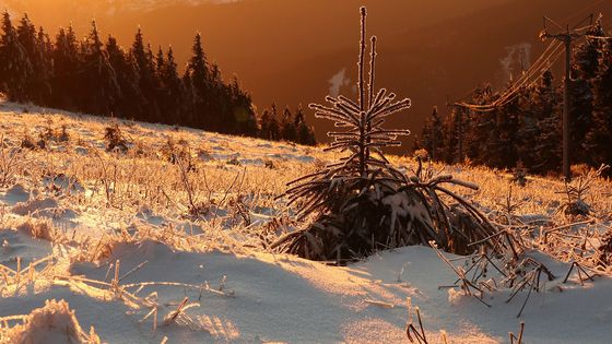 Jak fotí Canon M5? Neupravené snímky přímo z fotoaparátu