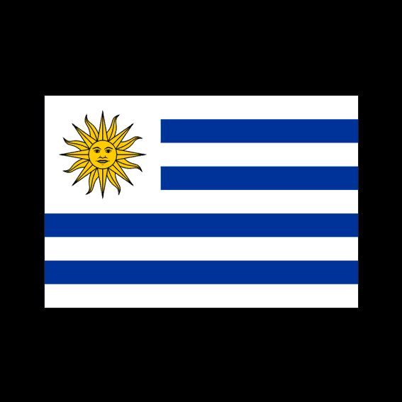 Vlajka Uruguaye - sport
