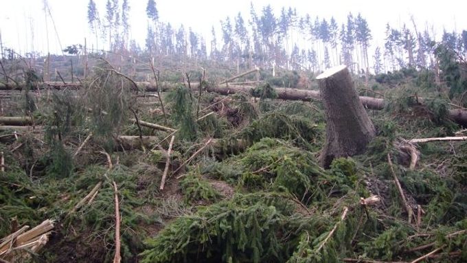 Symbolický uragán. Karlovarské lesy zdecimovala vichřice Emma. Celý region pak ničí propad, s nímž zatím vláda stále nedokázala nic udělat.