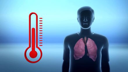 Člověka ohrožuje málo známý vir 2019-nCoV. Podívejte se, jak se šíří