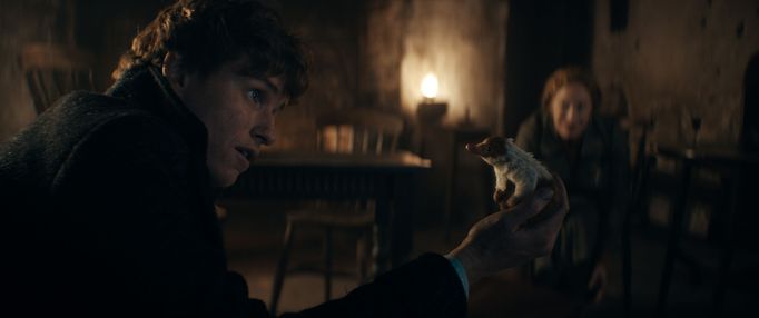 Eddie Redmayne jako Mlok Scamander a Victoria Yeatesová v roli Bunty.