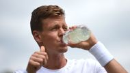 Tomáš Berdych před Wimbledonem stihl sehrát tři zápasy na turnaji v Halle, kde jej ve čtvrtfinále rekordní palbou es vyřadil Chorvat Ivo Karlovič.