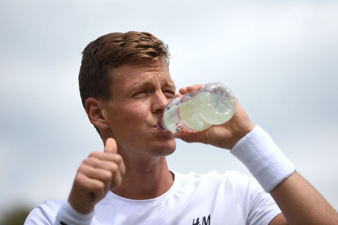 Tomáš Berdych před Wimbledonem 2015