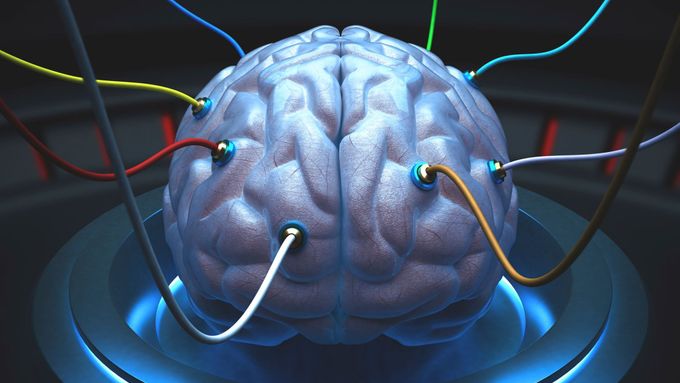 Většina lidí má spoje v mozku rovnoměrně rozloženy do levé i pravé hemisféry.