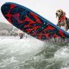 USA, Kalifornie, pes, surfing, mistrovství