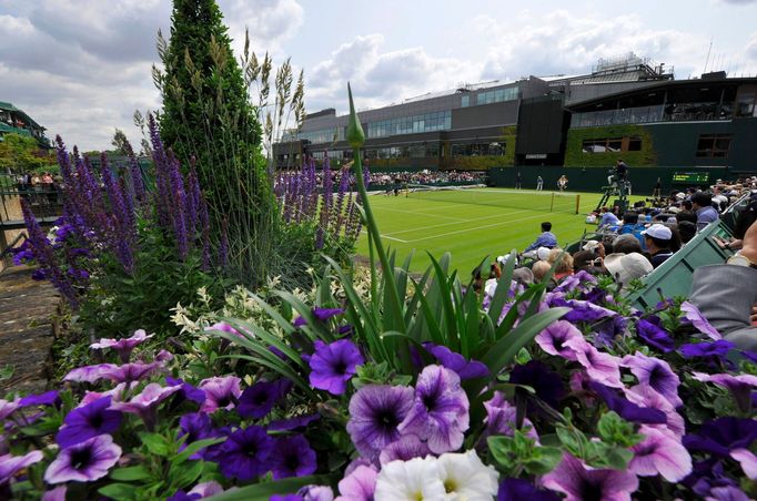 Wimbledon 2013