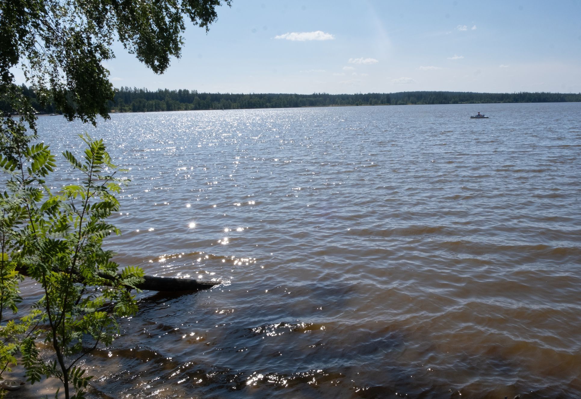 Moře Vysočiny - Velké Dářko