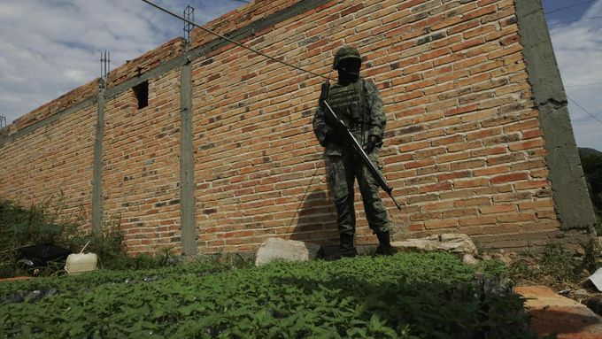 Foto: Jak se v Mexiku likviduje mnohahektarové pole marihuany