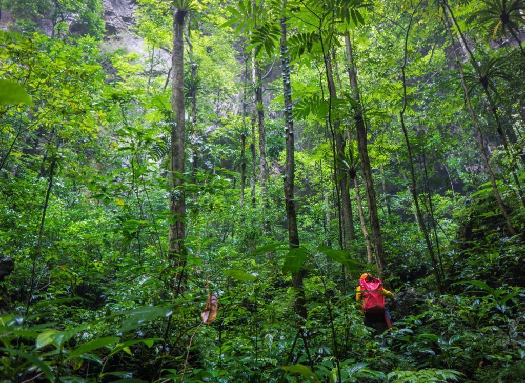 Jeskyně Son Doong ve Vietnamu - NEUŹÍVAT v článcích
