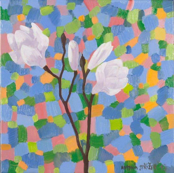 Antonín Střížek: Magnolie (2013).