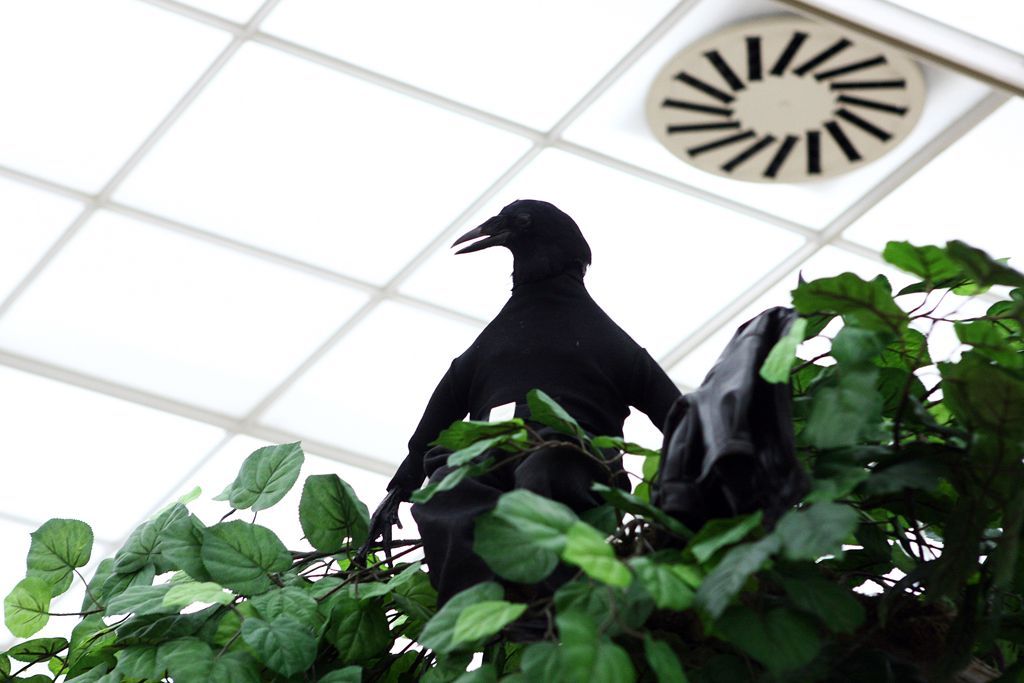 Krištof Kintera - Výsledky analýzy