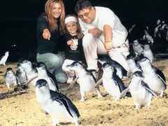 Iveta Chmielová Dalajková na fotografii s manželem, dcerou a tučňáky