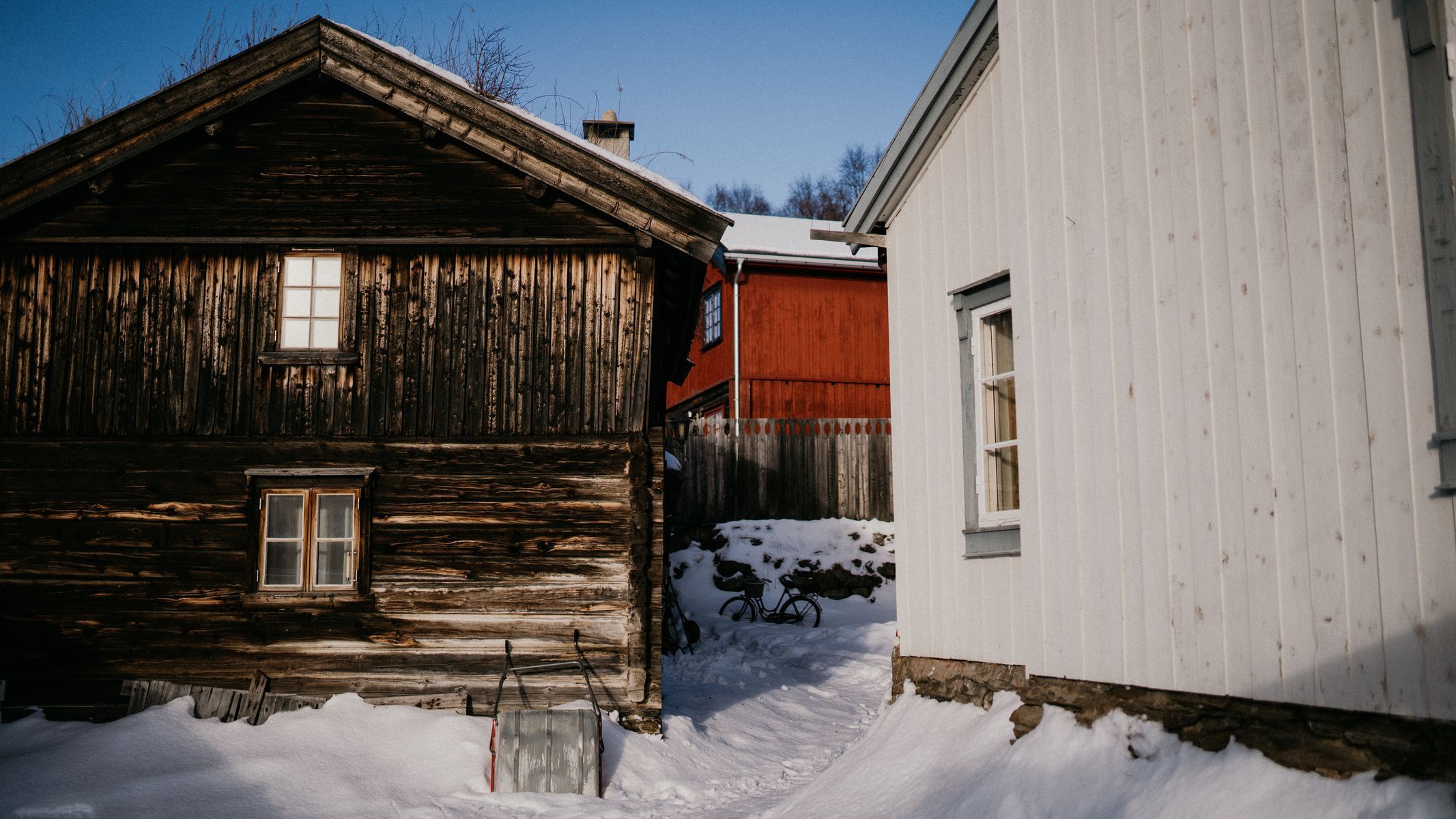 femundlopet psí spřežení mushing norsko