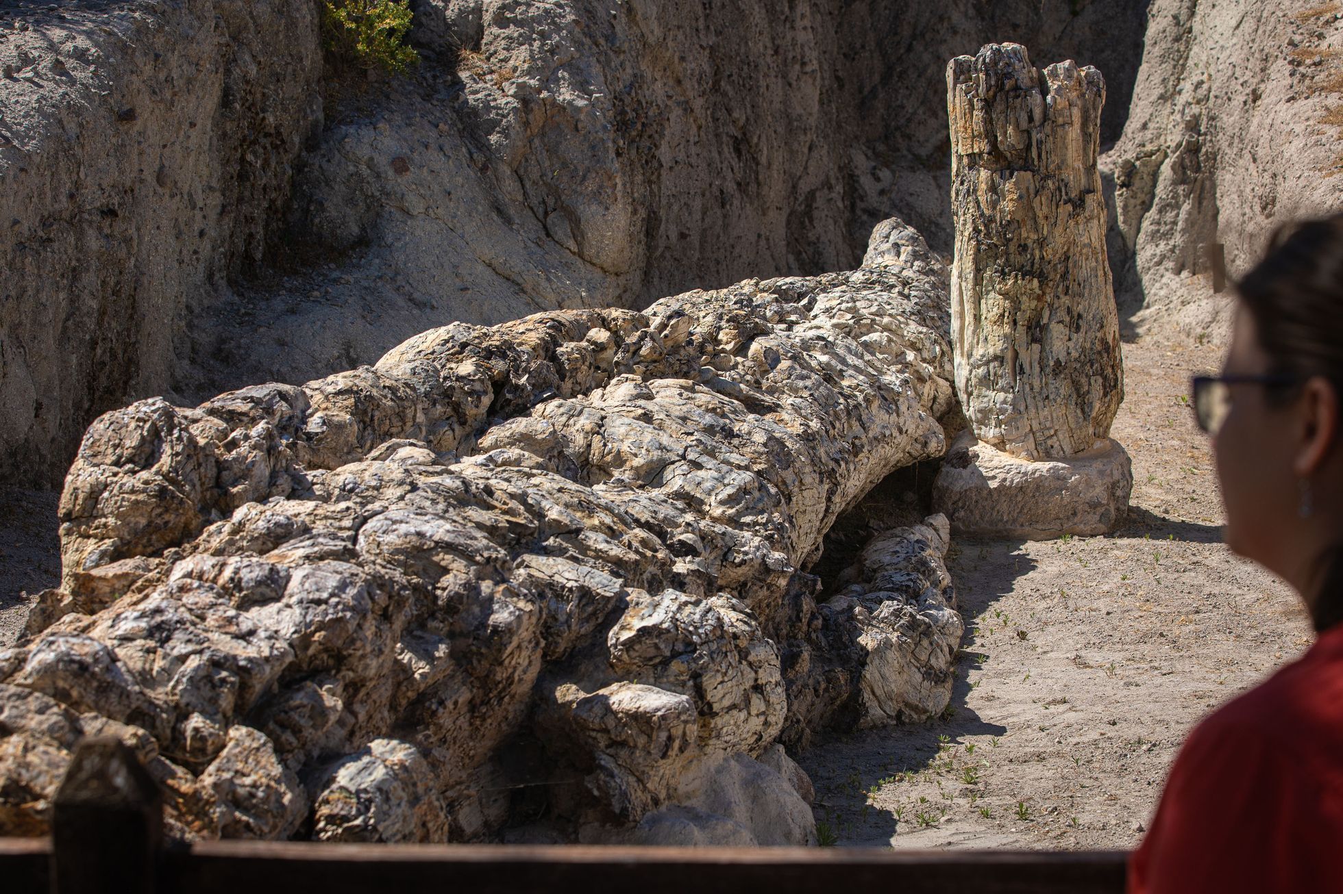 Lesbos turistické tipy, turismus, historie, antické památky, akvadukt, zkamenělý les UNESCO